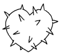 Coeur-cactus