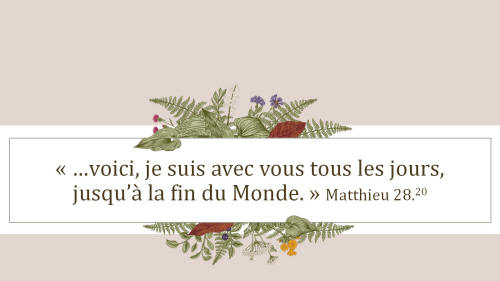 Matthieu_28.20