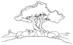 Brebis reposant sous un arbre