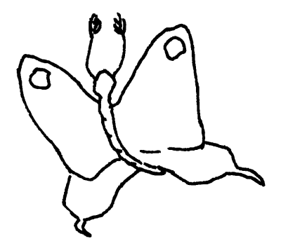 papillon