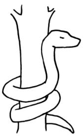 Serpent enroul autour d'un arbre