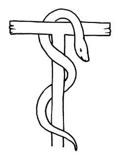 Serpent sur perche